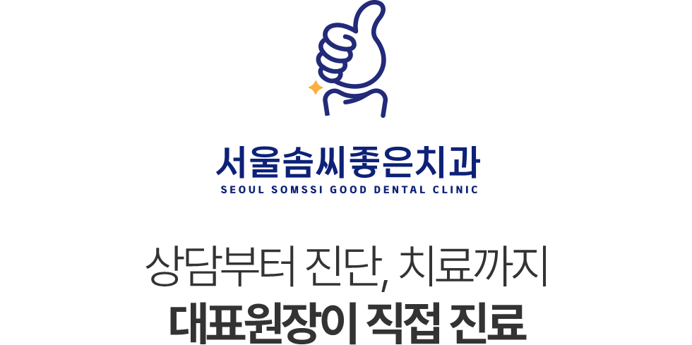 서울솜씨좋은치과 진료과목